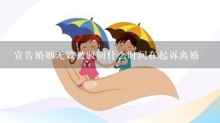 宣告婚姻无效被驳回什么时间在起诉离婚