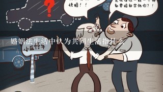 婚姻法生活中认为共同生活指什么