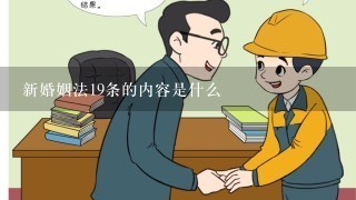 新婚姻法19条的内容是什么