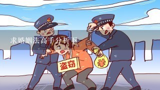 求婚姻法高手分析下