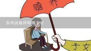 苏州离婚律师哪个好