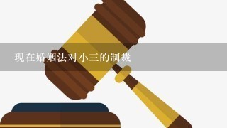 现在婚姻法对小3的制裁