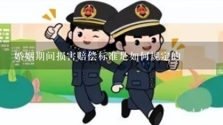 婚姻期间损害赔偿标准是如何规定的