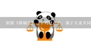 根据《婚姻法》，下列财产中，属于夫妻共同财产的是( )。