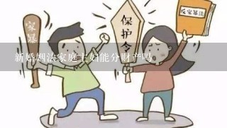 新婚姻法家庭主妇能分财产吗