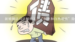 新婚姻法司法解释关于“孳息和自然增值”除外是什么意思