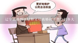 辽宁省婚姻法解释父母离婚孩子费给到多大