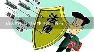 确认婚姻效力案件可以上诉吗