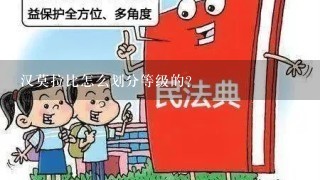 汉莫拉比怎么划分等级的？