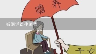 婚姻诉讼律师费