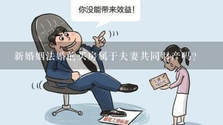 新婚姻法婚前买房属于夫妻共同财产吗?