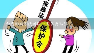 台湾的婚姻法可以1夫多妻吗?