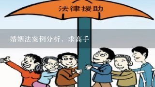 婚姻法案例分析，求高手