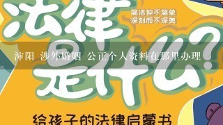 渖阳 涉外婚姻 公正个人资料在那里办理