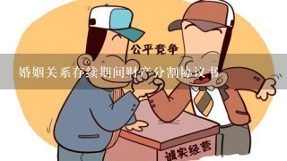 婚姻关系存续期间财产分割协议书