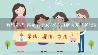 新婚姻法 离婚后子女2岁应由谁抚养《双胞胎》