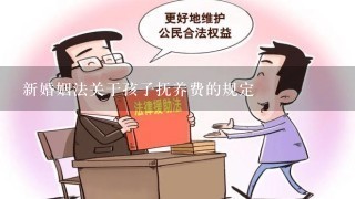 新婚姻法关于孩子抚养费的规定