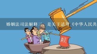 婚姻法司法解释3，是关于适用《中华人民共和国婚姻法》若干问题的解释，是（）对现行婚姻法的有效补充。
