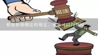 根据新婚姻法的规定，家暴可以判刑吗