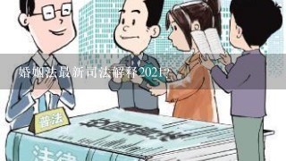 婚姻法最新司法解释2021？