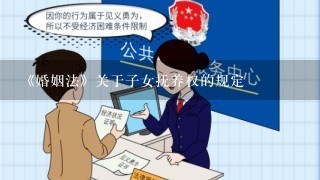 《婚姻法》关于子女抚养权的规定