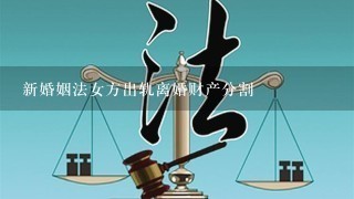 新婚姻法女方出轨离婚财产分割