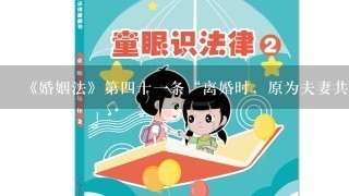 《婚姻法》第4十1条“离婚时，原为夫妻共同生活所...