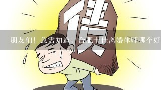 朋友们！急需知道，合肥十佳离婚律师哪个好1些？