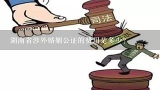 湖南省涉外婚姻公证的费用是多少